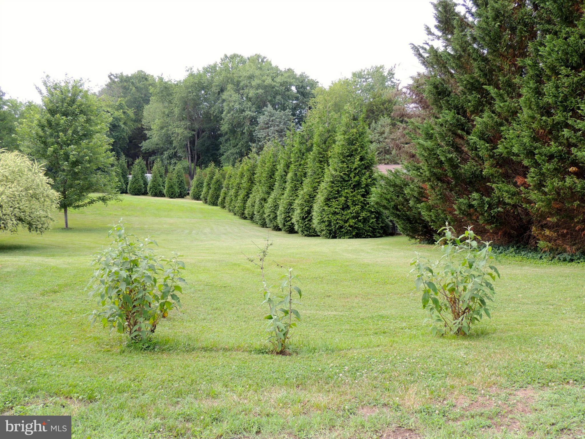 100 Wayland Road Culpeper, VA 22701 - Photo 26 of 28 Exterior (General)