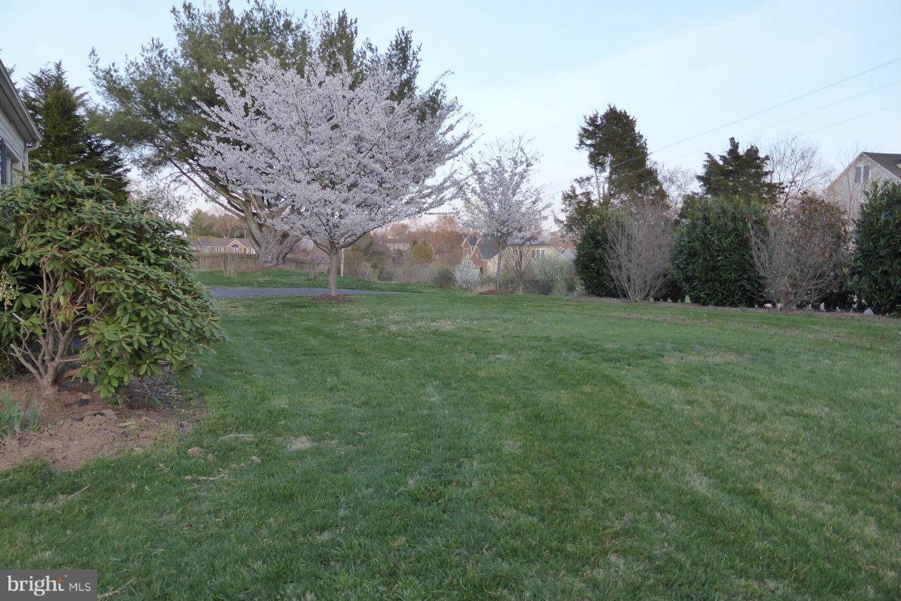 100 Wayland Road Culpeper, VA 22701 - Photo 28 of 28 Exterior (General)