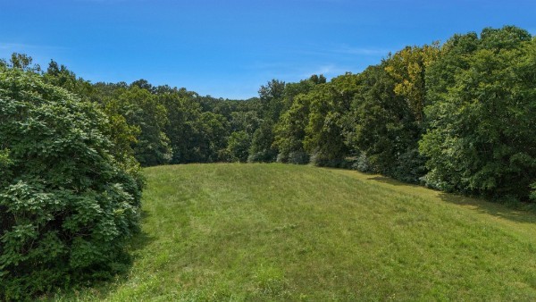 4664 New Cut Road Greenbrier, TN 37073 - Photo 70 of 85