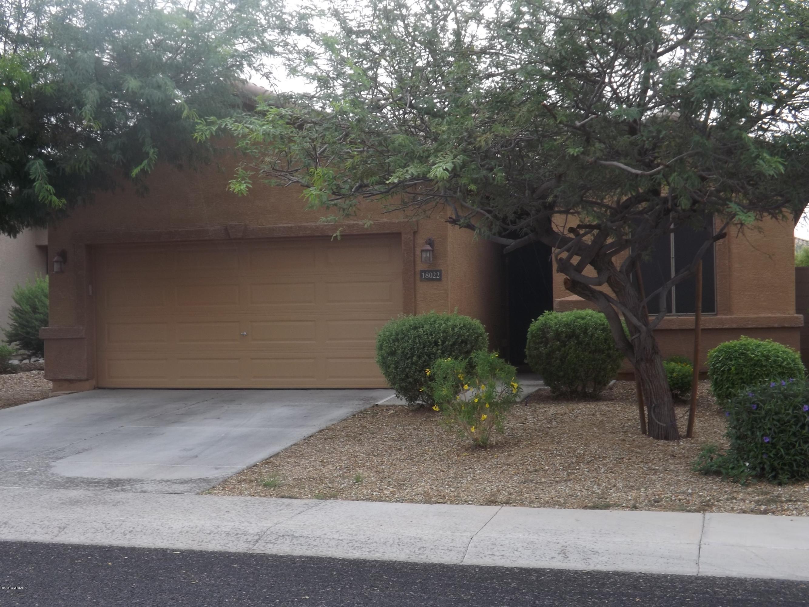 18022 West Hatcher Road Waddell, AZ 85355 - Photo 1 of 38 a view of a plants with large tree