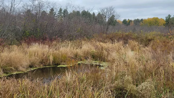 County Highway, Kennan, WI 54537