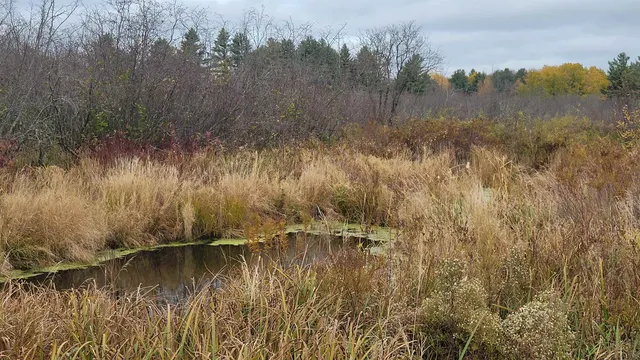 $55,000 | County Highway, Kennan, WI 54537