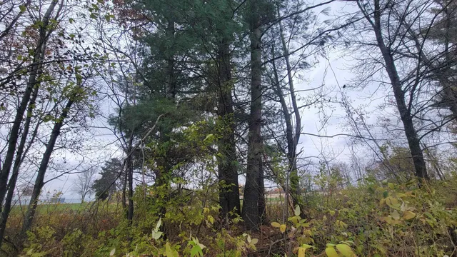 $55,000 | County Highway, Kennan, WI 54537