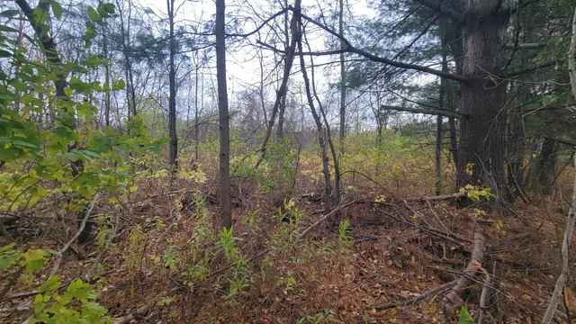 $55,000 | County Highway, Kennan, WI 54537