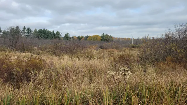 $55,000 | County Highway, Kennan, WI 54537