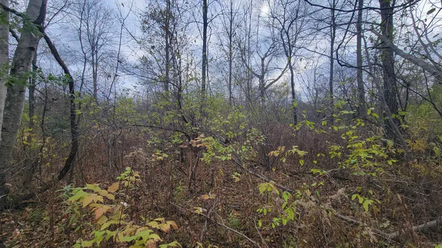 $55,000 | County Highway, Kennan, WI 54537