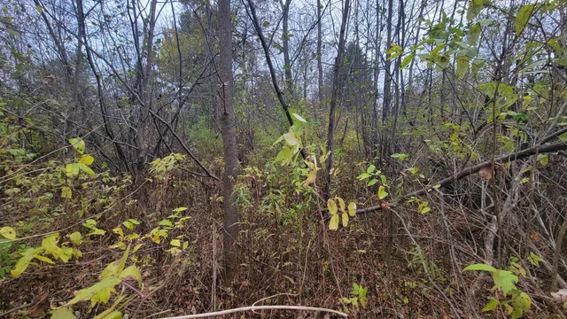 $55,000 | County Highway, Kennan, WI 54537