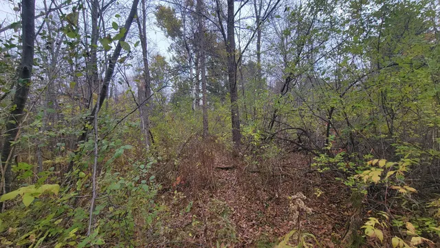 $55,000 | County Highway, Kennan, WI 54537