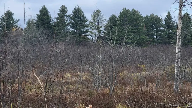 $55,000 | County Highway, Kennan, WI 54537