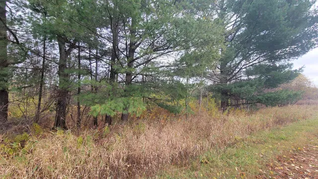 $55,000 | County Highway, Kennan, WI 54537