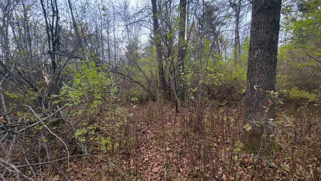 $55,000 | County Highway, Kennan, WI 54537