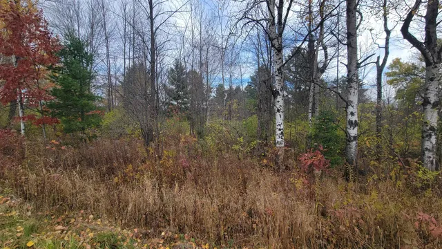 $55,000 | County Highway, Kennan, WI 54537