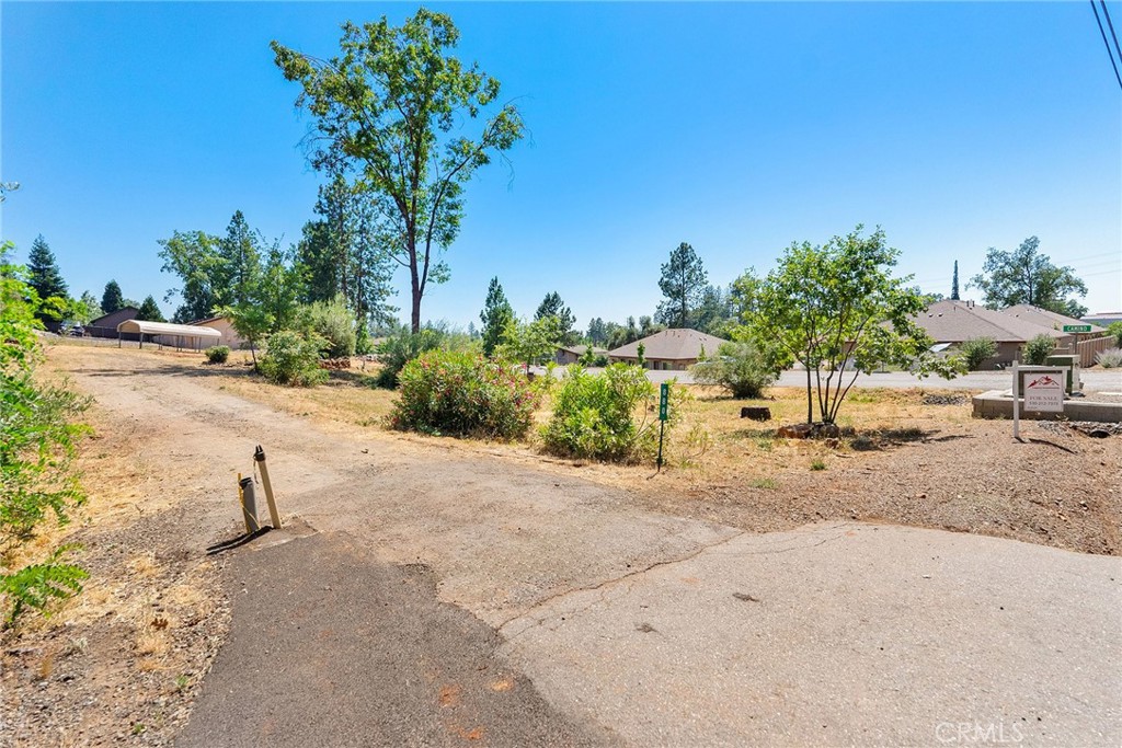 880 Elliott Road Paradise, CA 95969 - Photo 16 of 19 a row of palm trees and a yard with wooden fence
