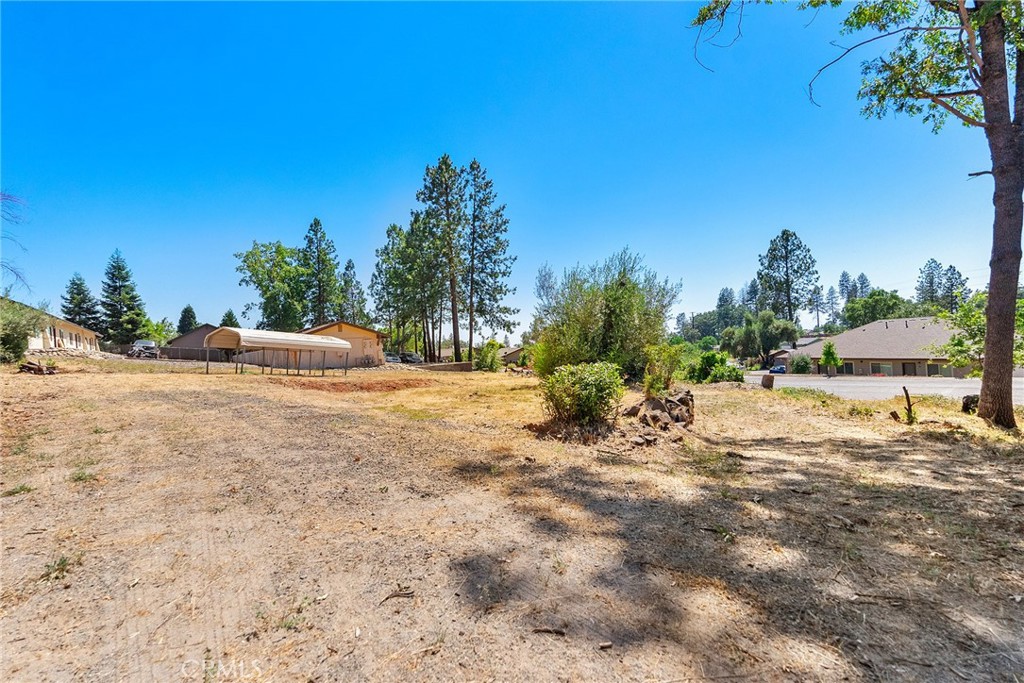 880 Elliott Road Paradise, CA 95969 - Photo 6 of 19 a view of a dirt yard with a large tree