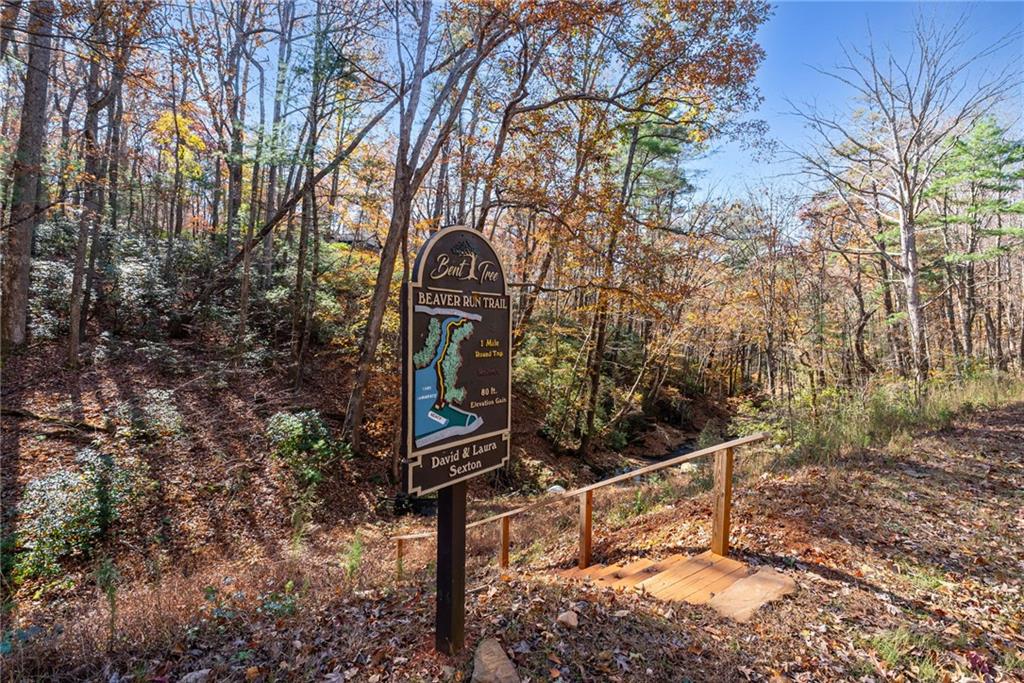 56 Buckeye Trail Jasper, GA 30143 - Photo 27 of 34 a view of a bench in a forest