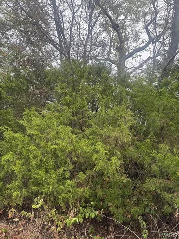 $182,000 | Lot 2 Hilltop Acres Drive, Washington, MO 63090