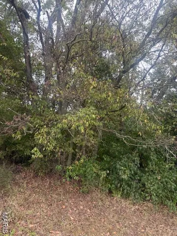 $182,000 | Lot 2 Hilltop Acres Drive, Washington, MO 63090