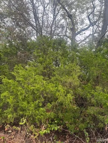 $182,000 | Lot 2 Hilltop Acres Drive, Washington, MO 63090