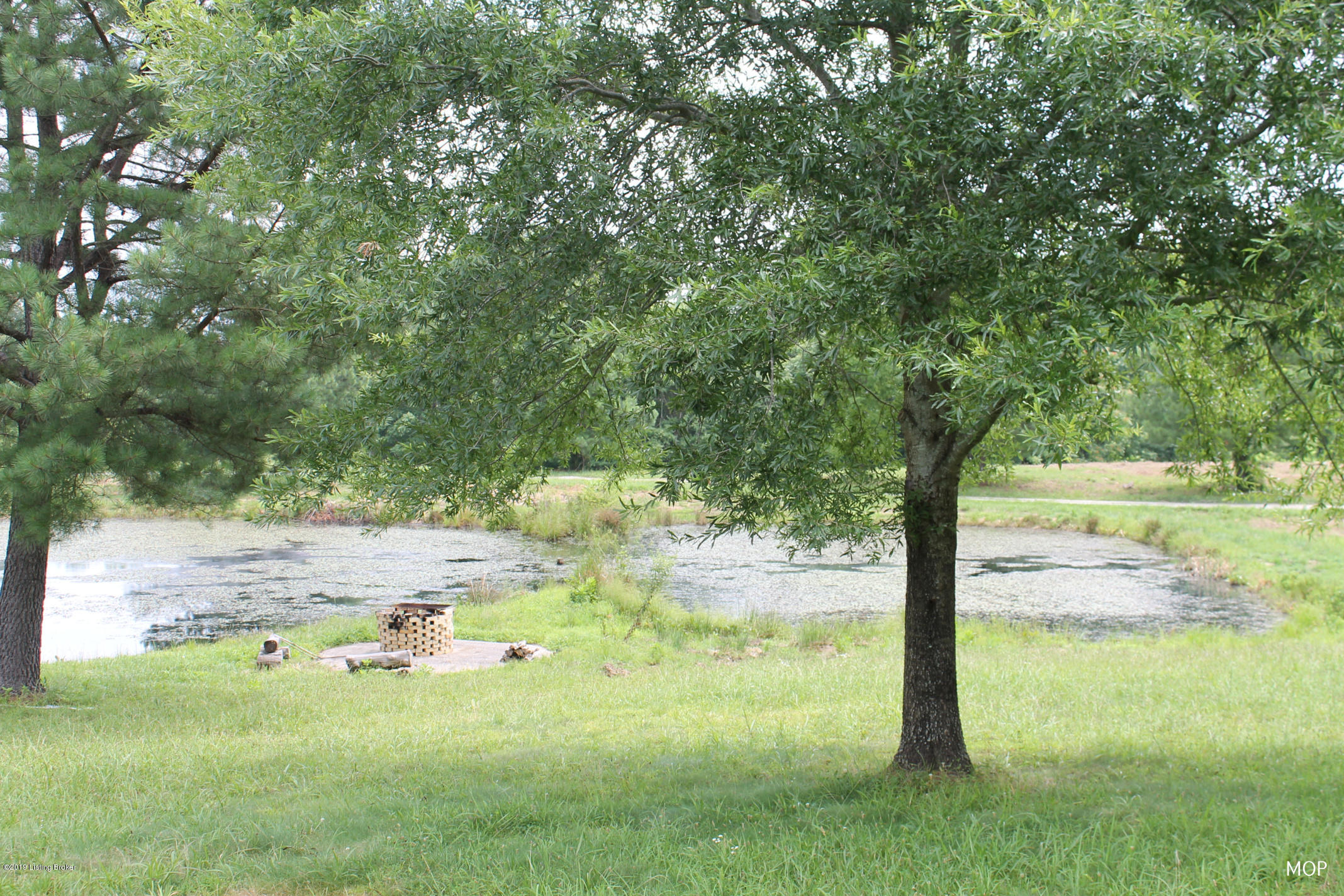 5498 Reese Hurt Road Breeding, KY 42715 - Photo 35 of 41 Pond 17