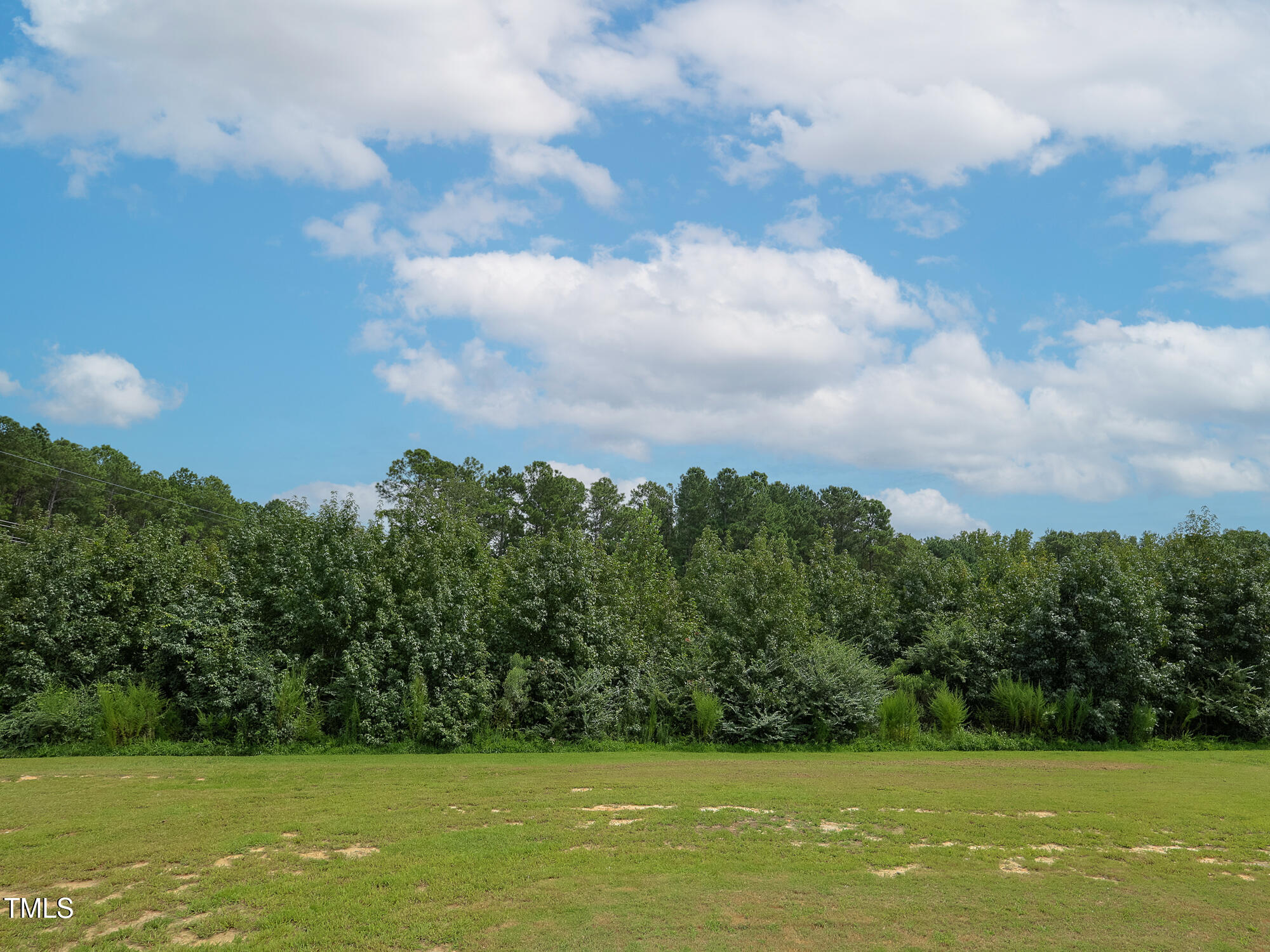 2270 Medlin Road Clayton, NC 27527 - Photo 60 of 62 079_2270_Medlin_Back_Yard