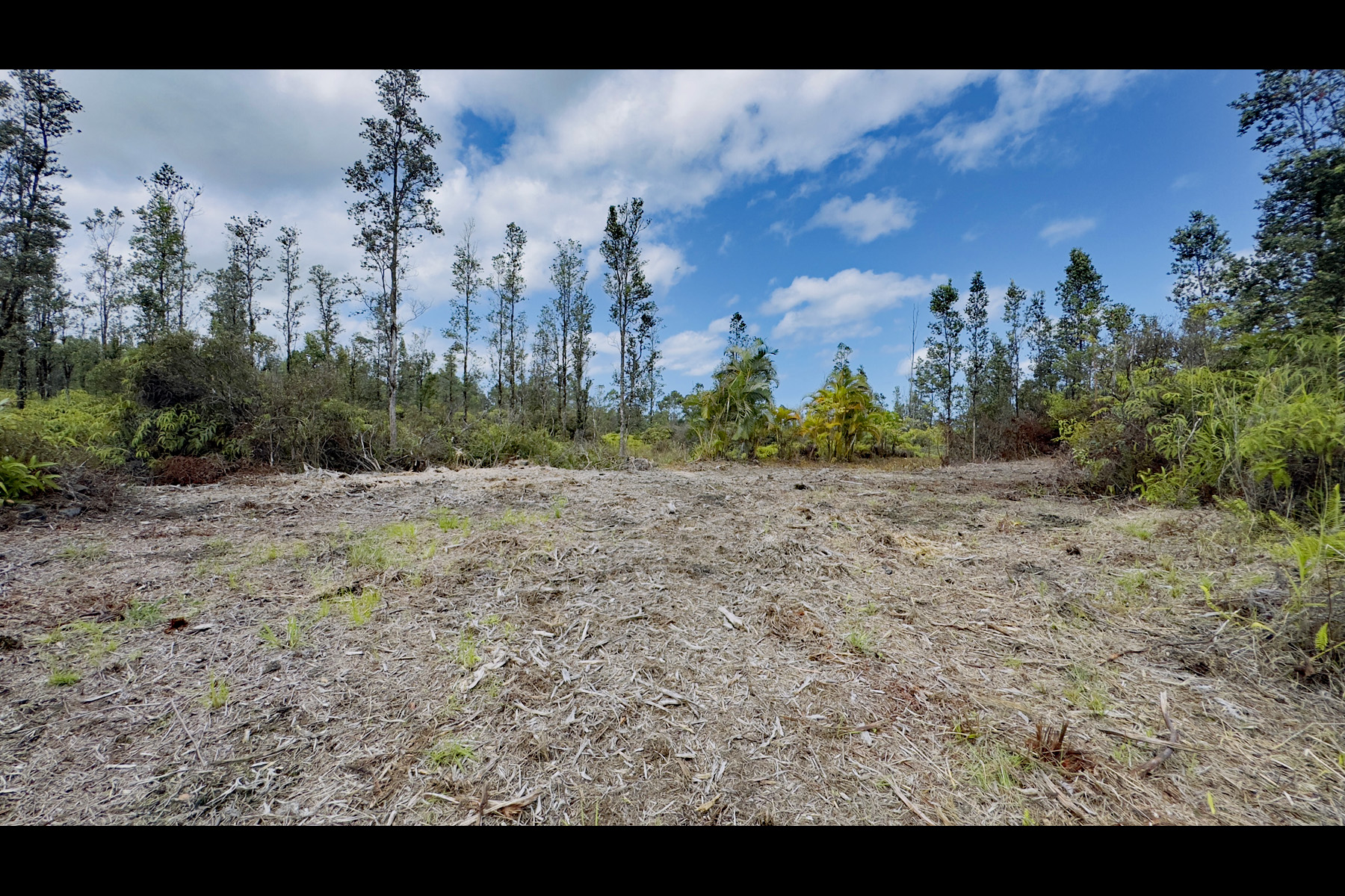 2444 Uhini Ana Road Mountain View, HI 96771 - Photo 3 of 27 a view of a yard