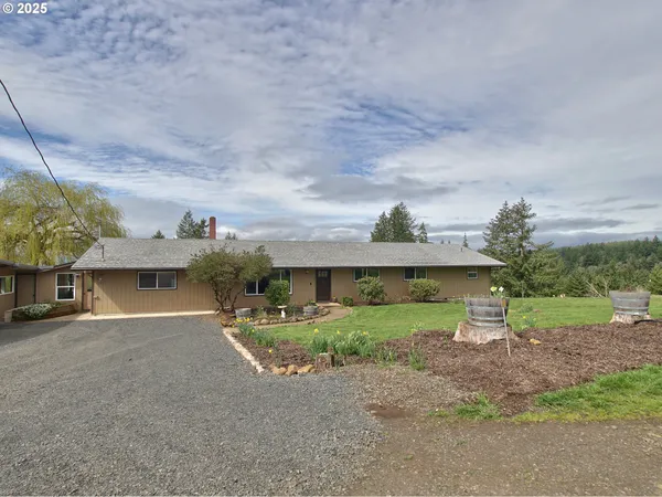 a view of a house with a yard and potted plants