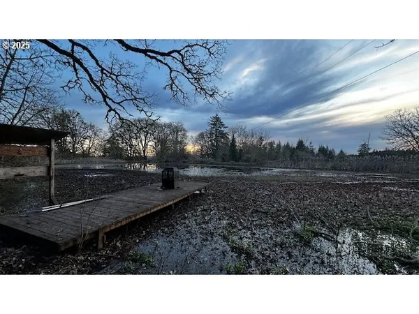 a view of a backyard