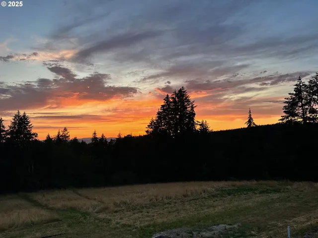 $999,500 | 6110 Yampo Road, Amity, OR 97101