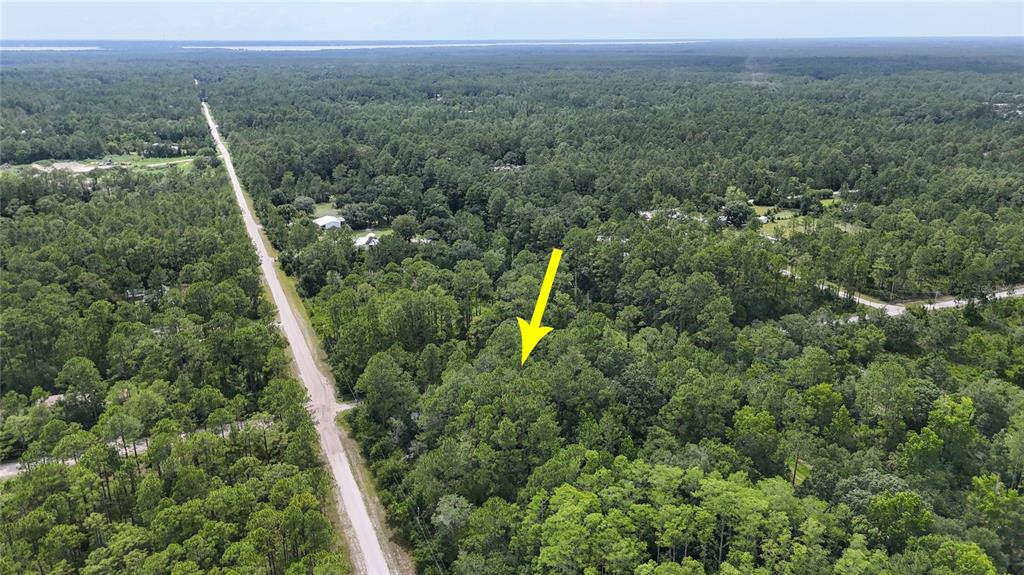 5446 Mango Avenue Bunnell, FL 32110 - Photo 12 of 17