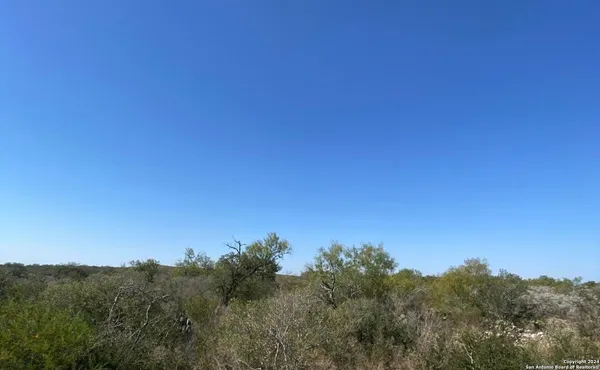 a view of a field