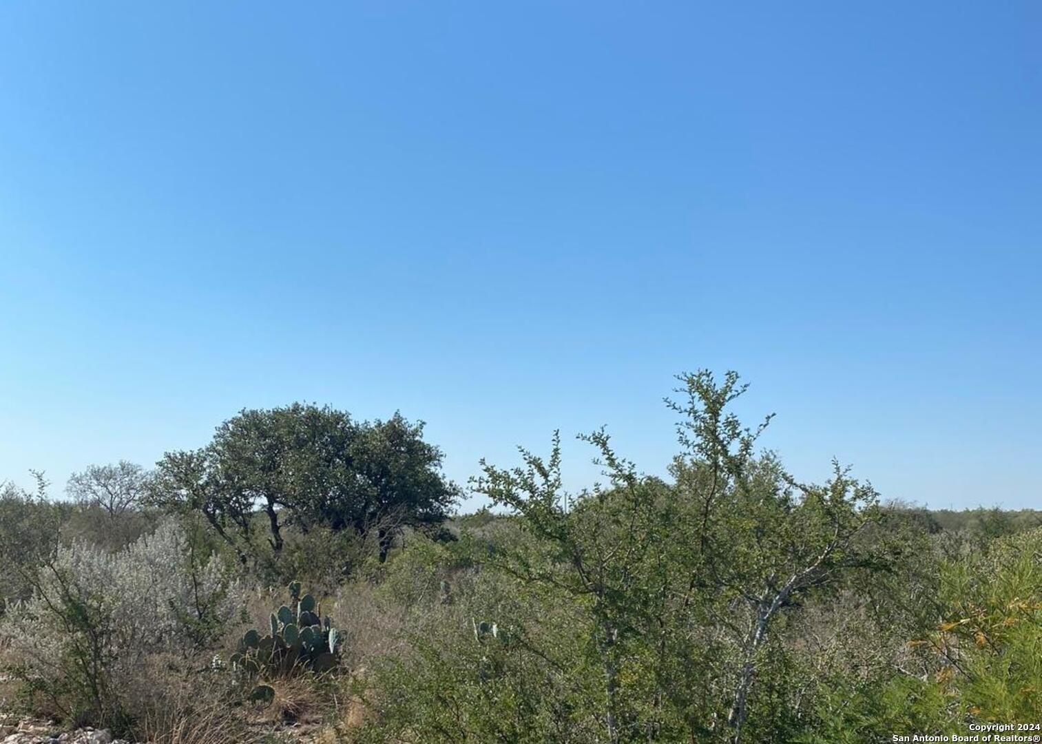 227 Legend Hills Uvalde, TX 78801 - Photo 4 of 6 a view of a field