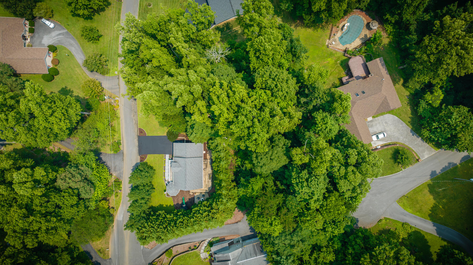 111 Hidden Valley Road Johnson City, TN 37601 - Photo 48 of 50 103