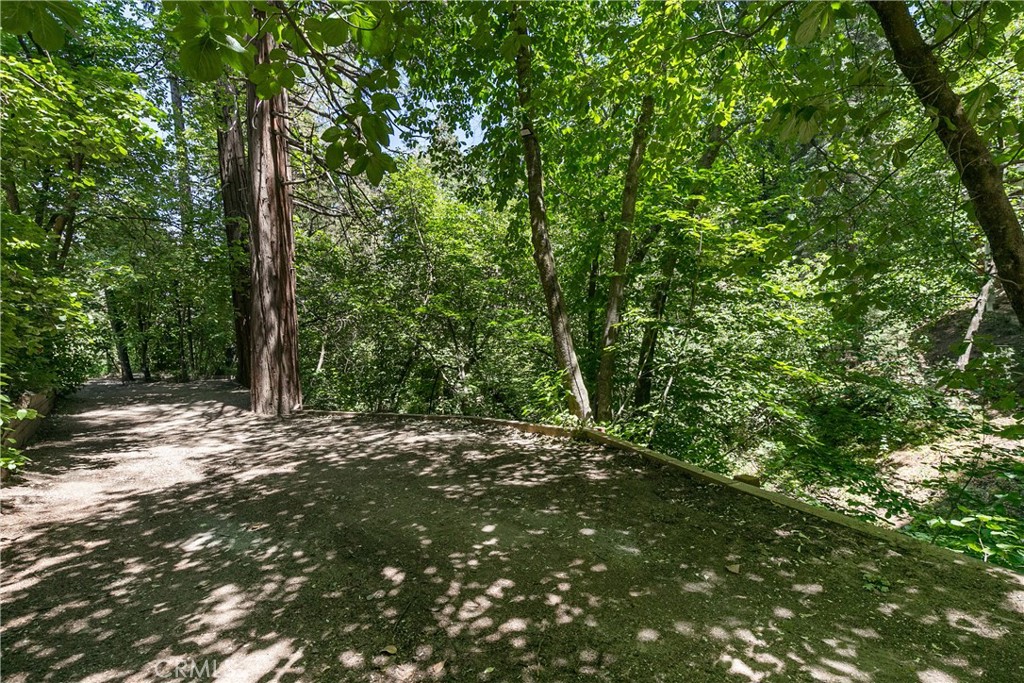 841 Cottage Grove Road Lake Arrowhead, CA 92352 - Photo 26 of 31 driveway