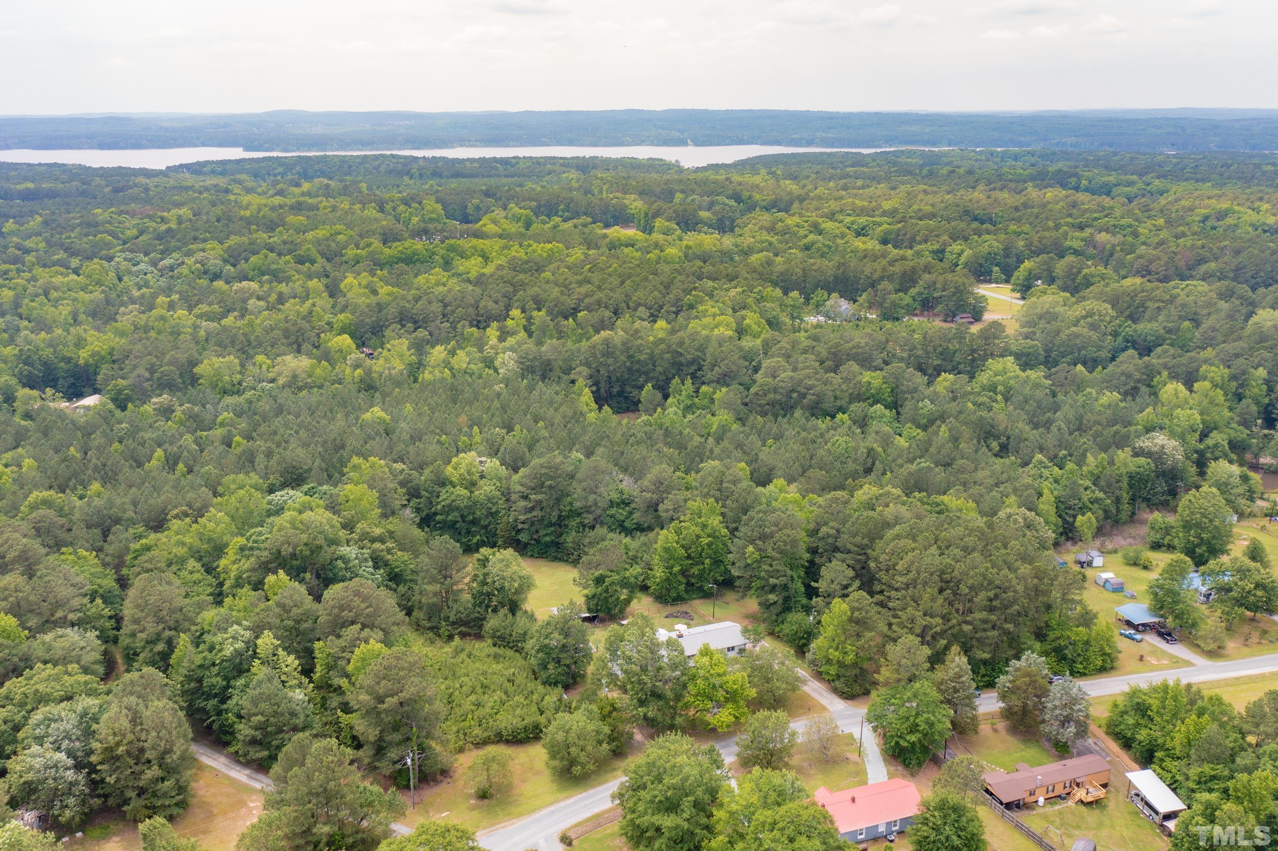 238 Alston Road Apex, NC 27523 - Photo 49 of 50 a view of a city with lush green forest