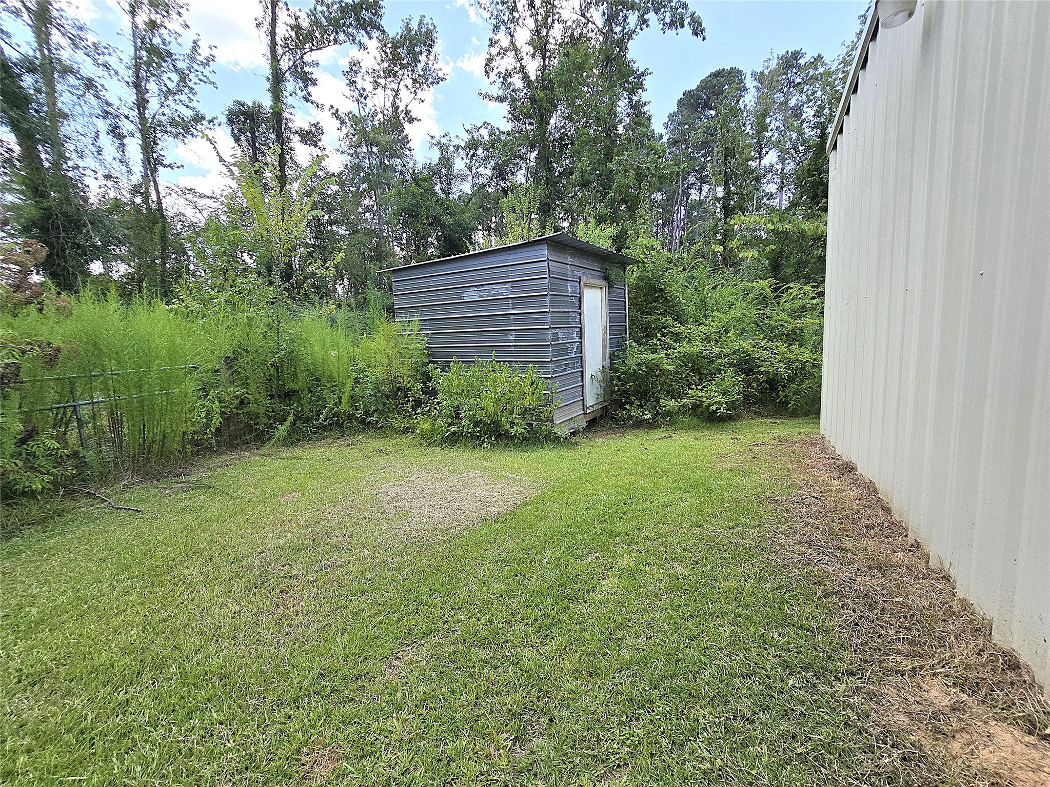 2101 West Houston Street Jasper, TX 75951 - Photo 15 of 15 utility shed