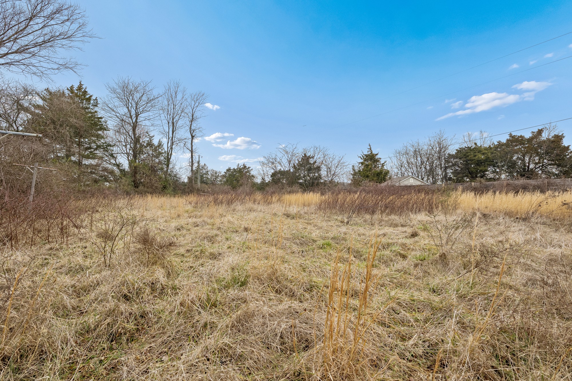 1187 Lawrence Road Murfreesboro, TN 37128 - Photo 4 of 13 a view of a lake view