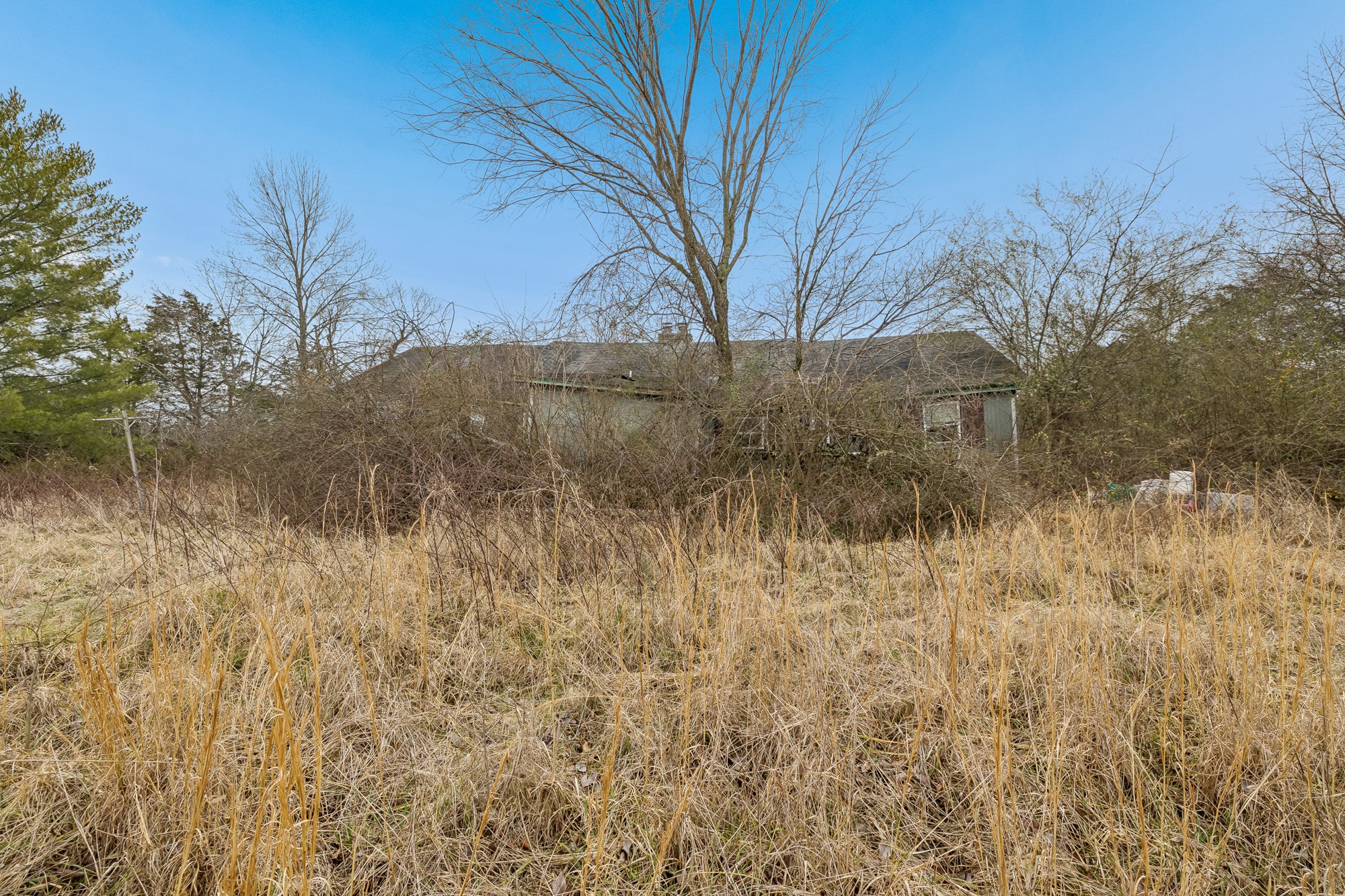 1187 Lawrence Road Murfreesboro, TN 37128 - Photo 6 of 13 a view of a dry yard with trees