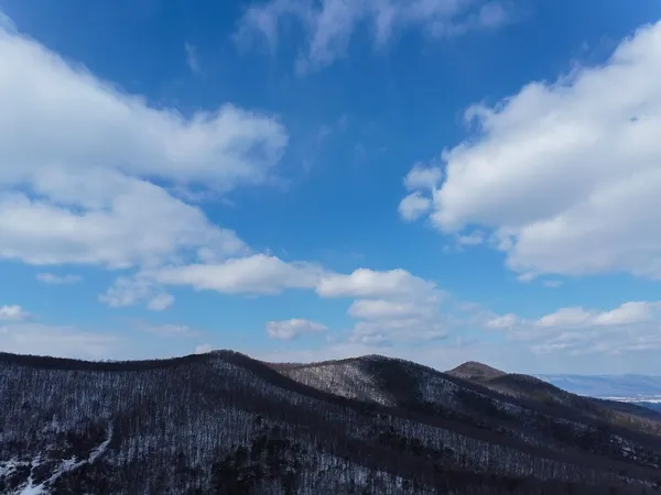 $145,000 | Tbd Cubbage Hollow Road, Stanley, VA 22851