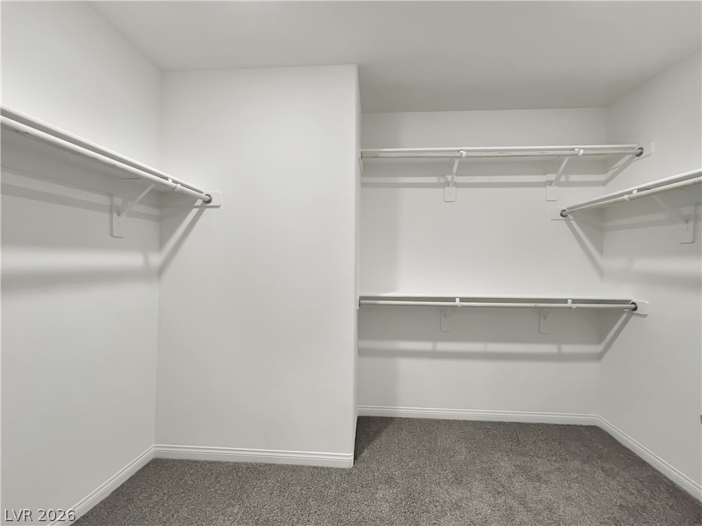 9984 Indigo Cliffs Street Las Vegas, NV 89141 - Photo 15 of 31 Walk in closet featuring carpet floors