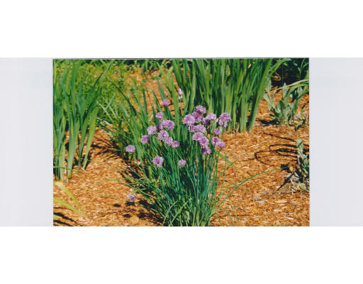 14 Fox Hill Road Shrewsbury, MA 01545 - Photo 24 of 29 Gallery Image 24