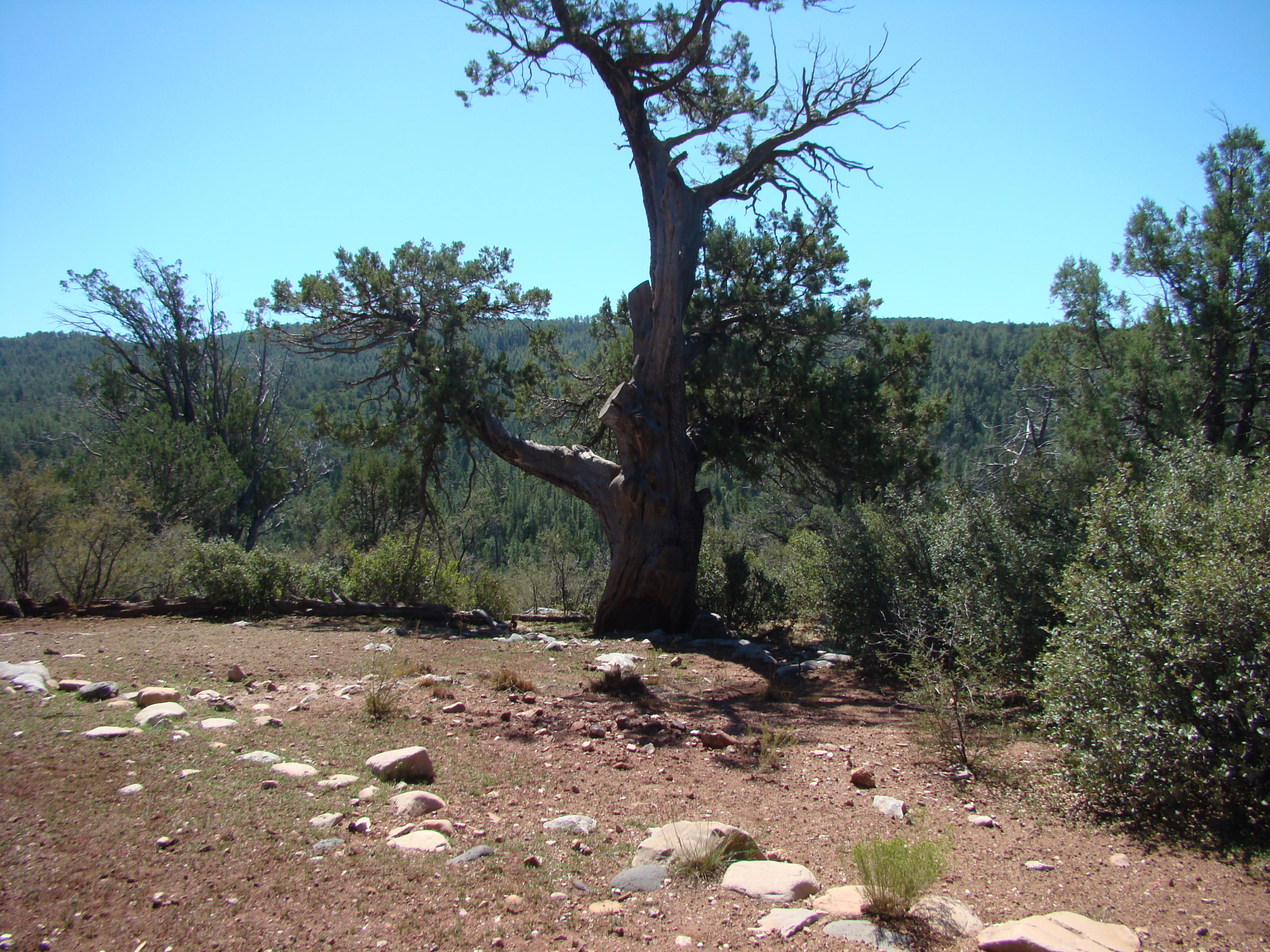 17033 Fire Control Road Payson, AZ 85541 - Photo 19 of 28