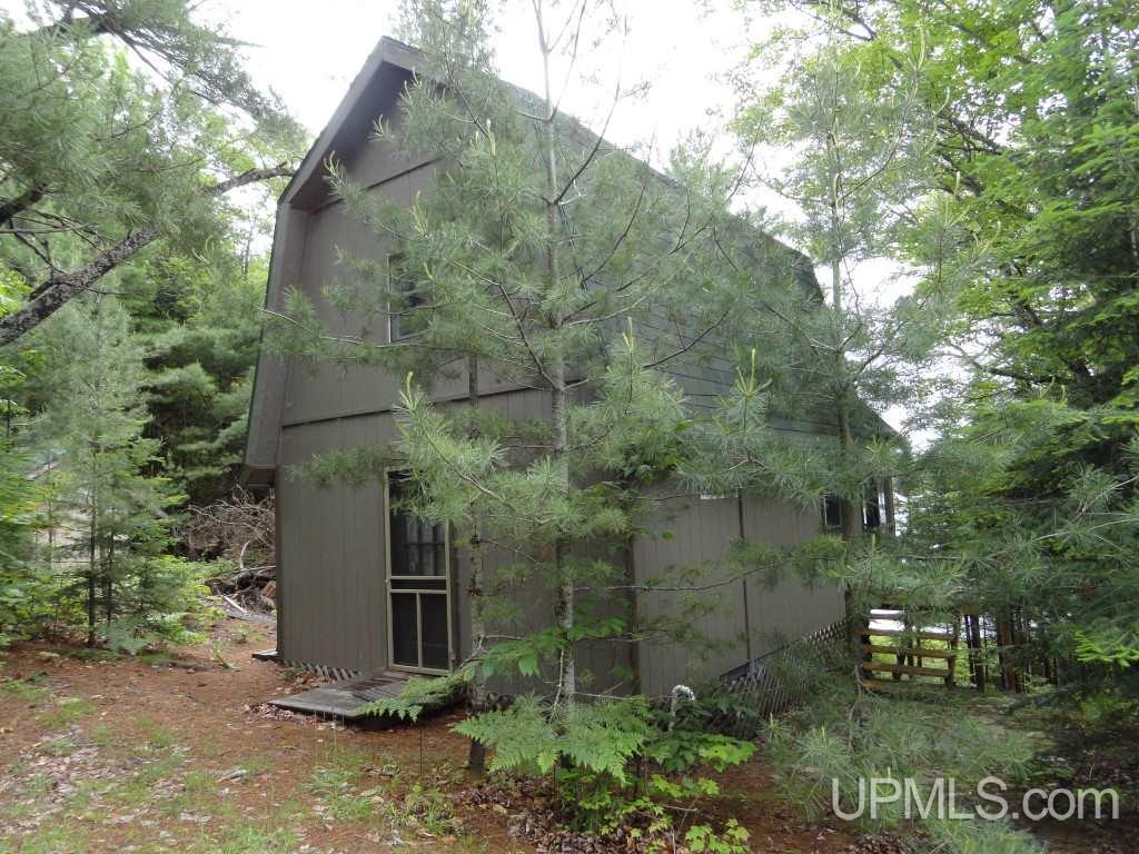 Tbd Wardles Way, Unit 1 Shingleton, MI 49884 - Photo 1 of 19