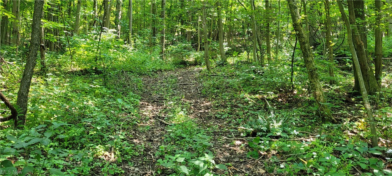 Southeast Edwards Ridge Road Southeast Uhrichsville, OH 44683 - Photo 21 of 34 Gallery Image 21