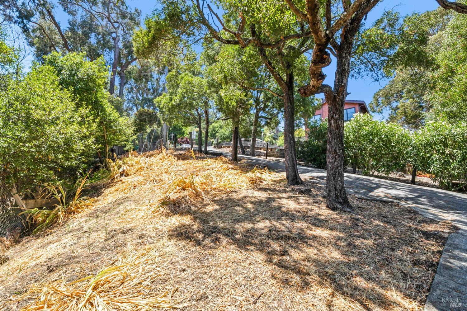 280 Prospect Drive San Rafael, CA 94901 - Photo 30 of 32