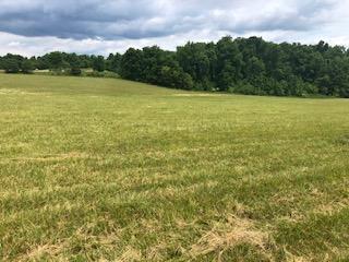 233 CW Rector Road Monticello, KY 42633 - Photo 2 of 5 IMG_2840