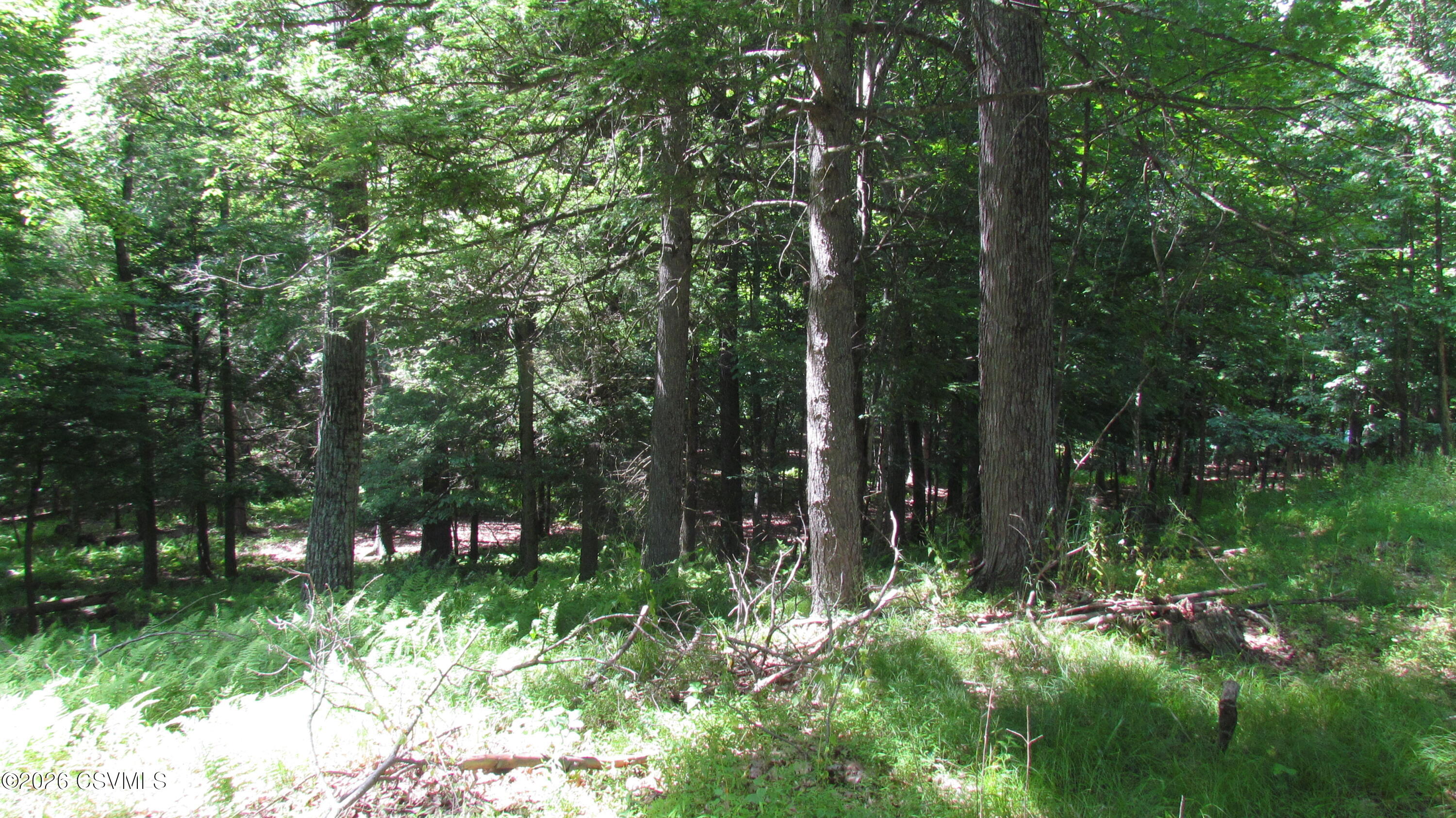 Johnson Road Shickshinny, PA 18655 - Photo 17 of 26 Gallery Image 17