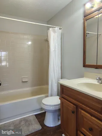 a bathroom with a sink a toilet and a bathtub