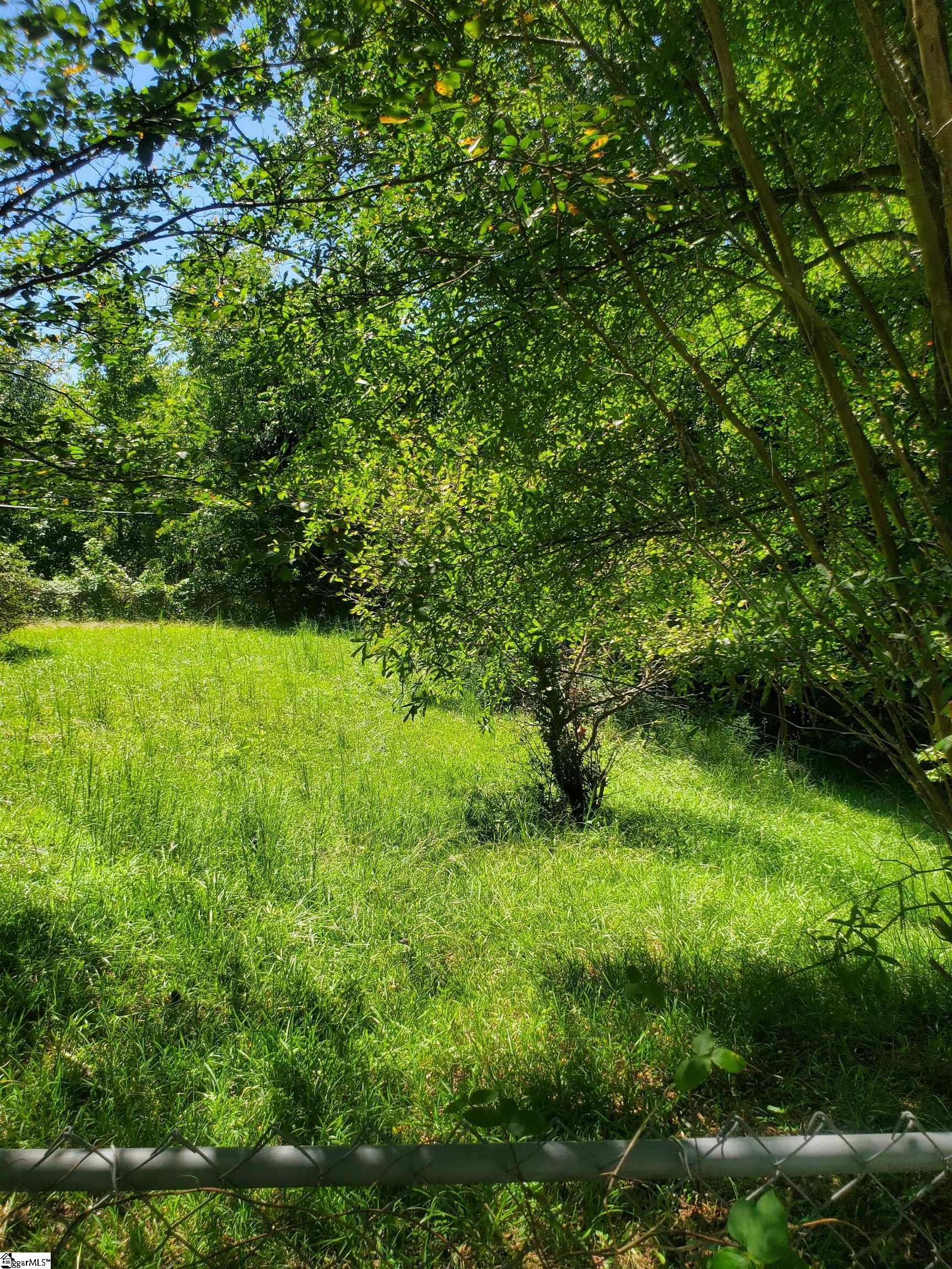 0 George Street Spartanburg, SC 29306 - Photo 3 of 4