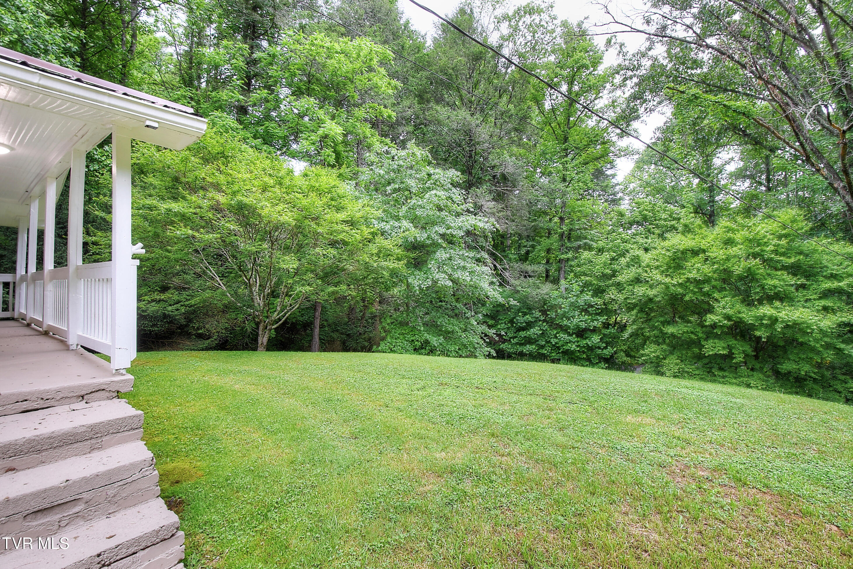 642 Dennis Cove Road Hampton, TN 37658 - Photo 6 of 35 6