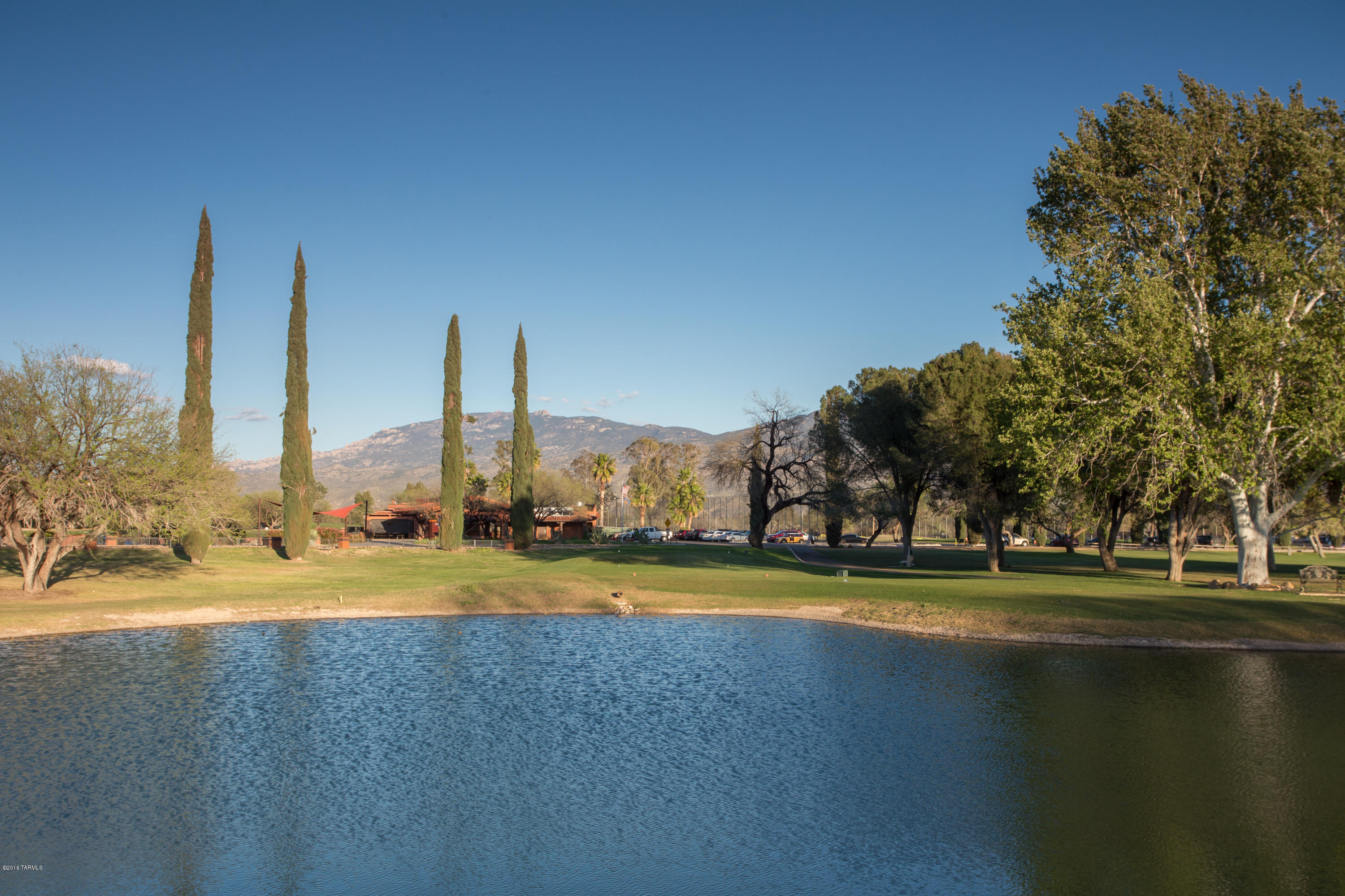 11826 East Wagon Trail Road Tucson, AZ 85749 - Photo 6 of 14